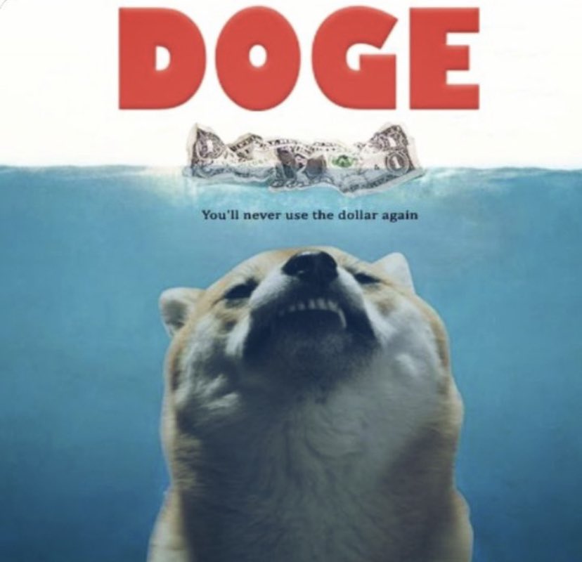 Investments_CEO's tweet photo. $DOGE x #DOGECOIN x $1.00 https://t.co/2PMicsdD4A