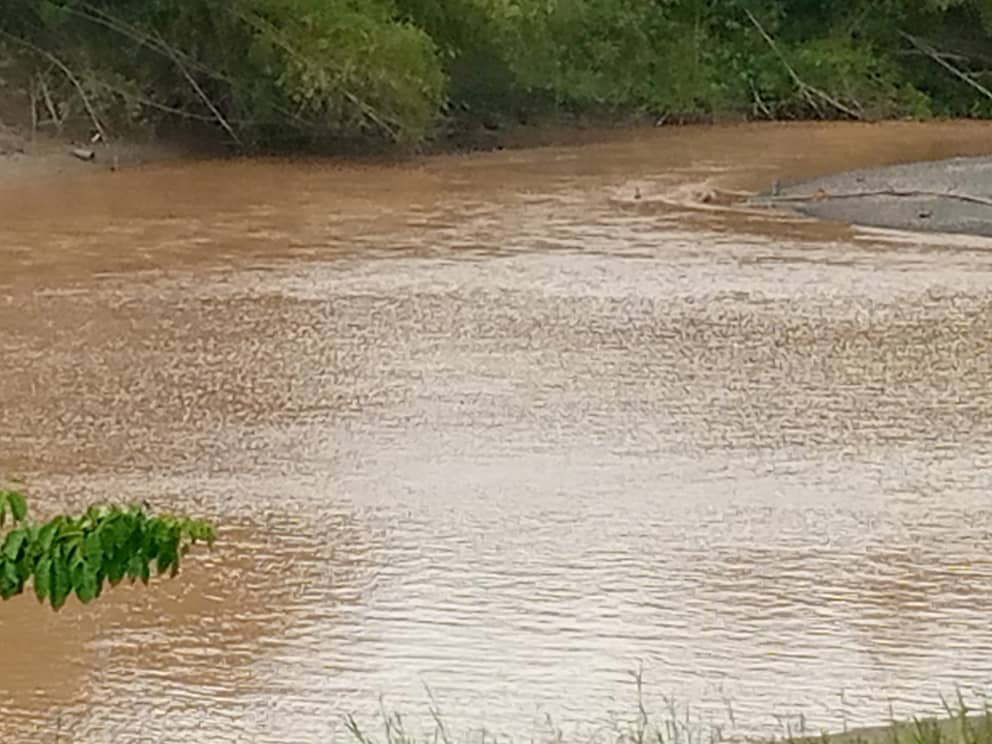 #BiodiversityDay, illegal mining leading to lost of rich Biodiversity reserves and endangering ecosystems in Ghana.
#stopgalamseynow 
#intlbiodiversityday 
#StopTheSame