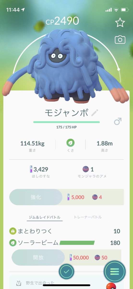 Ayanami 01 今日はポチエナの色違いとベトベターの色違い捕まえてモンジャラも進化させられていいポケモンgoライフでした ポケモンgo