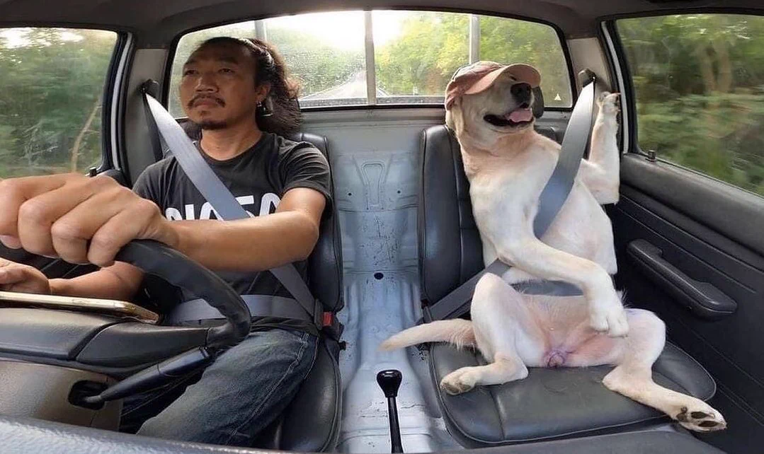 大事な友人(犬)、素敵な時間を過ごしてきたことが分かる