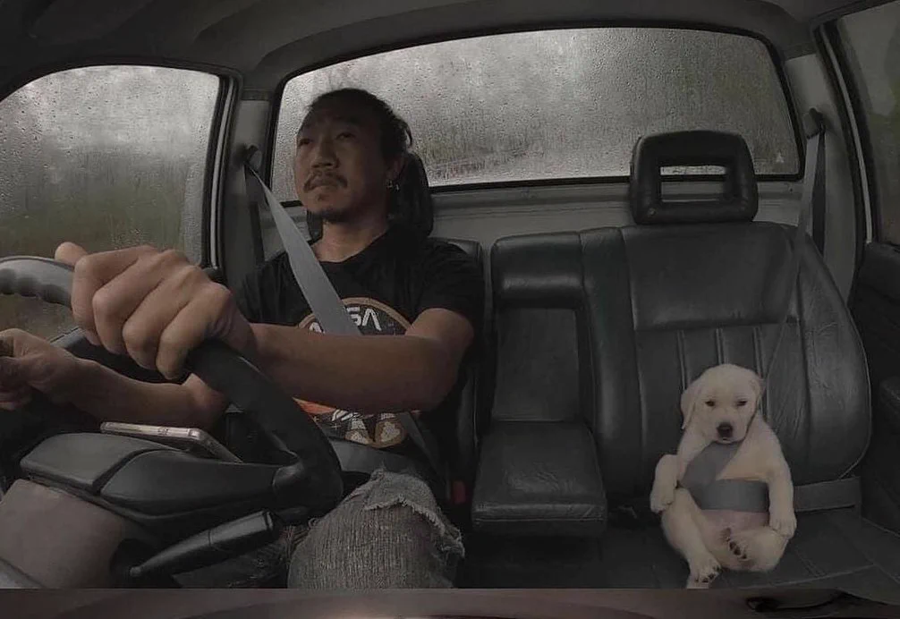 大事な友人(犬)、素敵な時間を過ごしてきたことが分かる