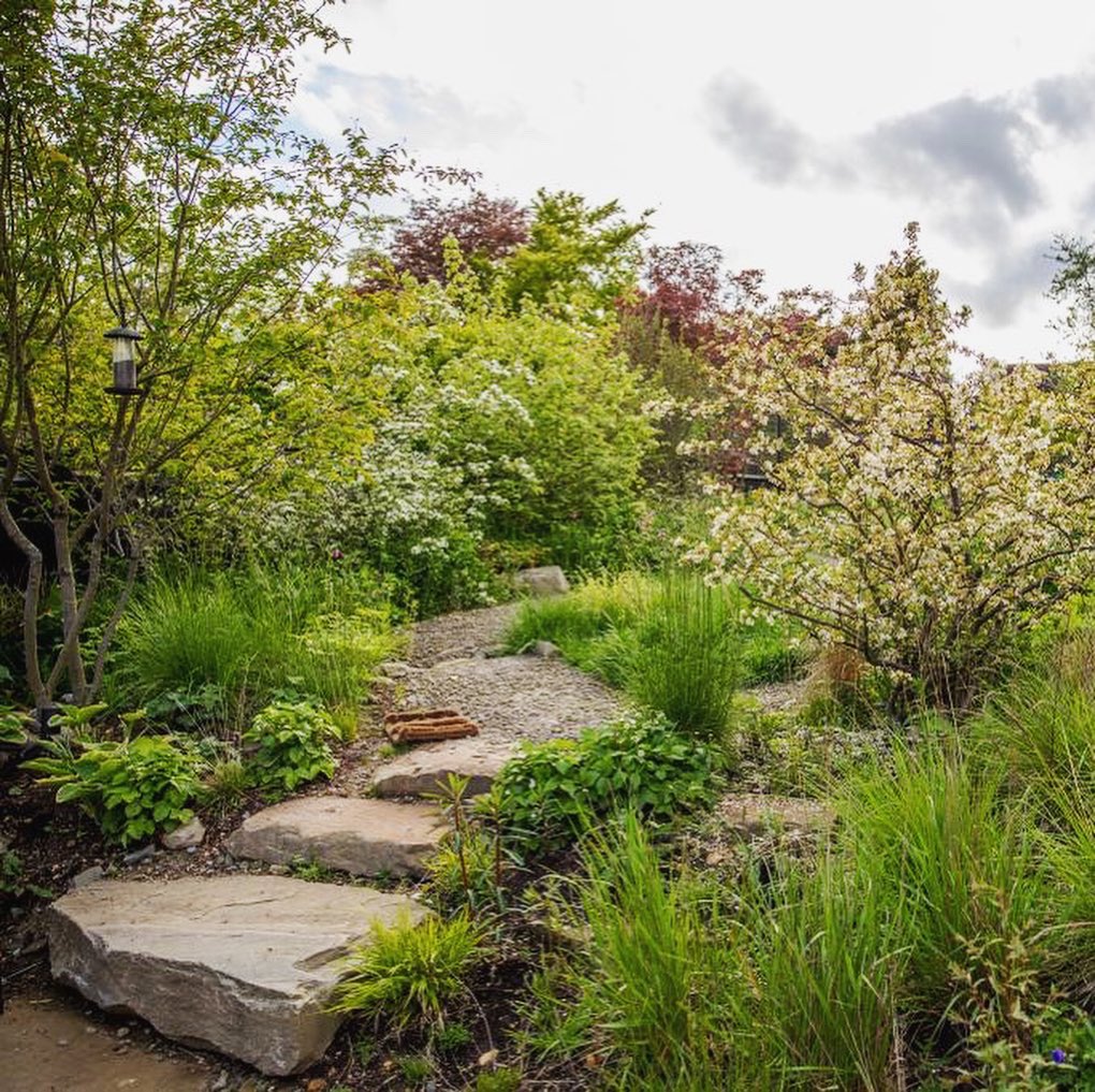 Tom Massey tweet media