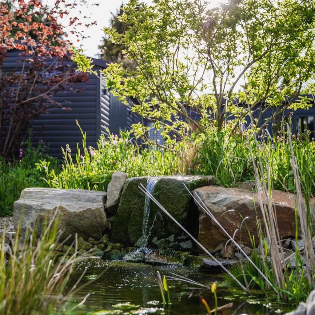 Tom Massey tweet media