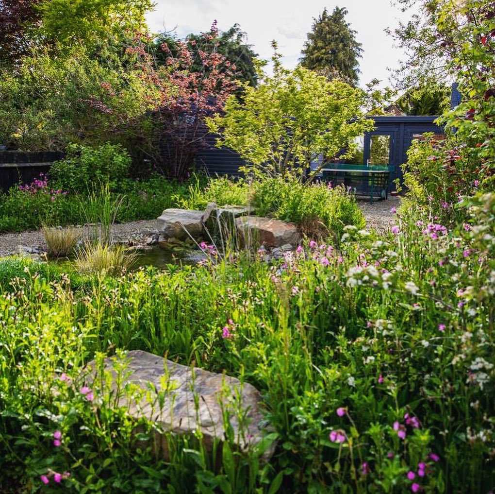 Tom Massey tweet media