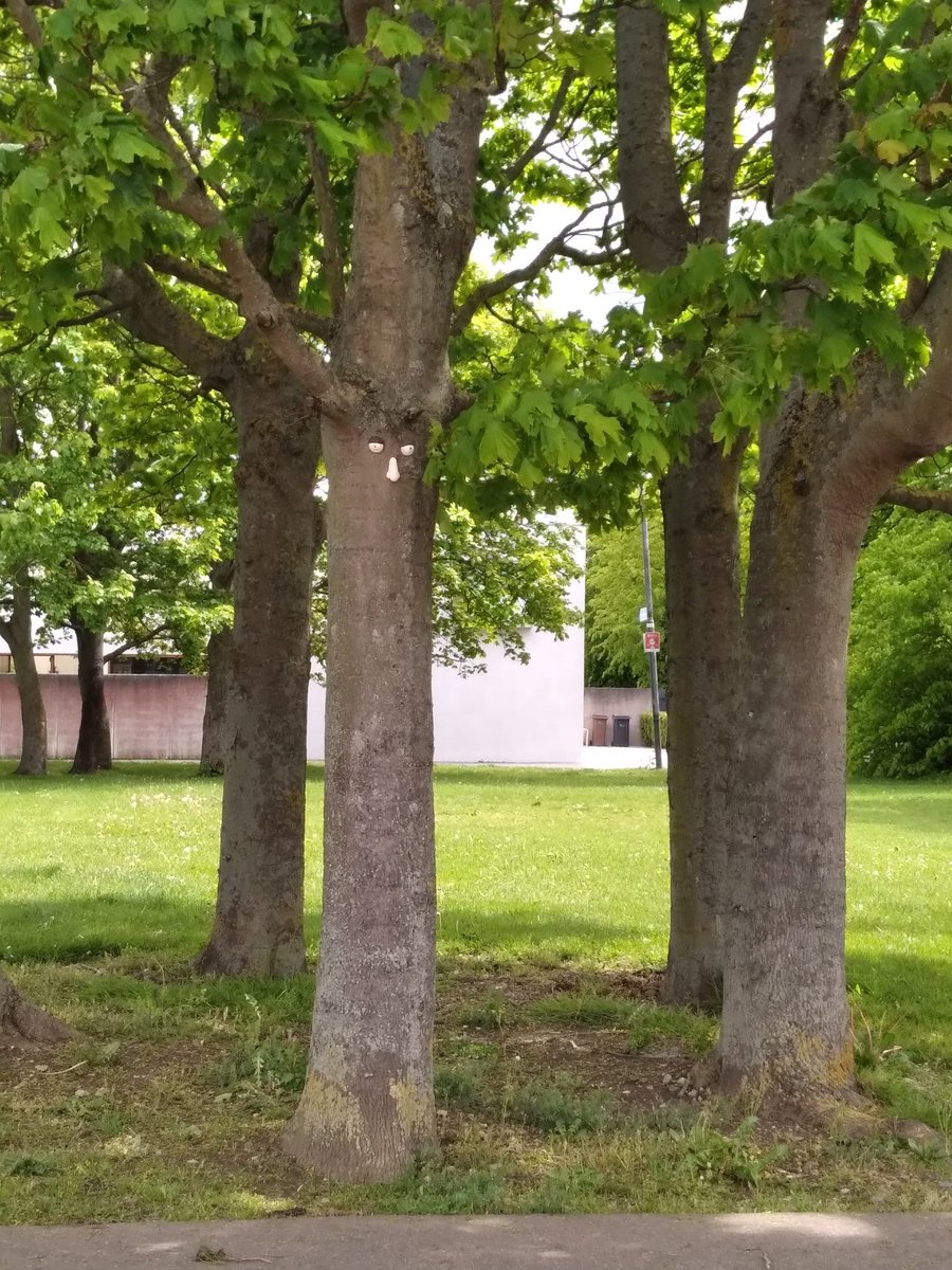 RMcMnow's tweet photo. You never know who might be watching... #TreesWithFaces https://t.co/oHi0Ah2AOF