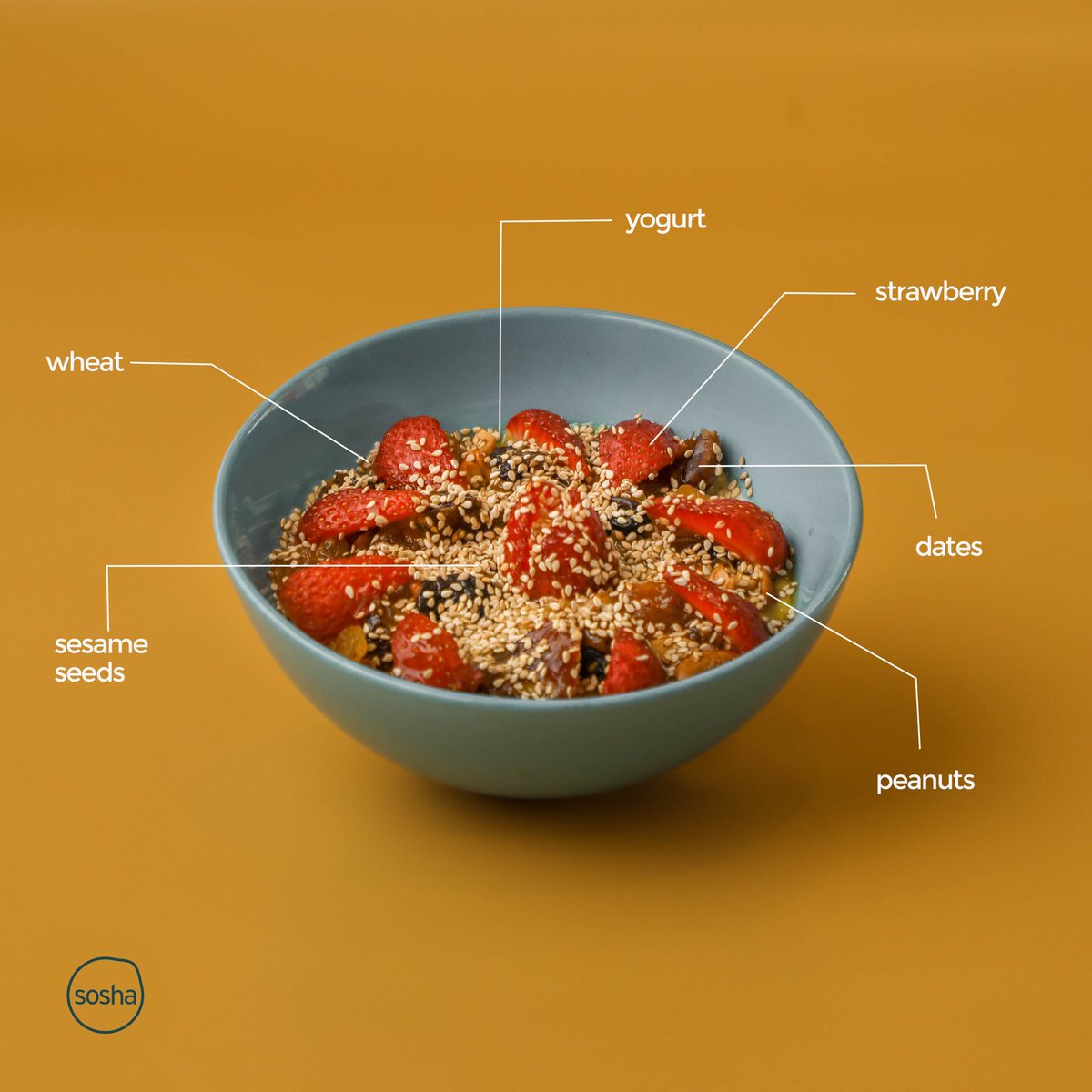 RestaurantSosha's tweet photo. The collective fasts are over, but that doesn’t mean your commitment to a clean mind, body and soul has to be. ⁣
⁣
You’re looking at one of our best selling breakfast items, our (not so humble) bowl of Oatmeal! A few incredible macronutrients play huge roles in its success. https://t.co/iAsq5Lkpkx