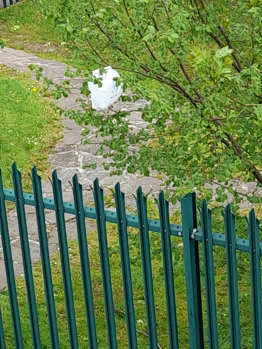 Chelle62855310's tweet image. Omg I thought I just came into contact with an actual ghost 👻😳😅 #wellingtonparanormal @OfficerOLearyNZ 🤣🤣🤣🤣