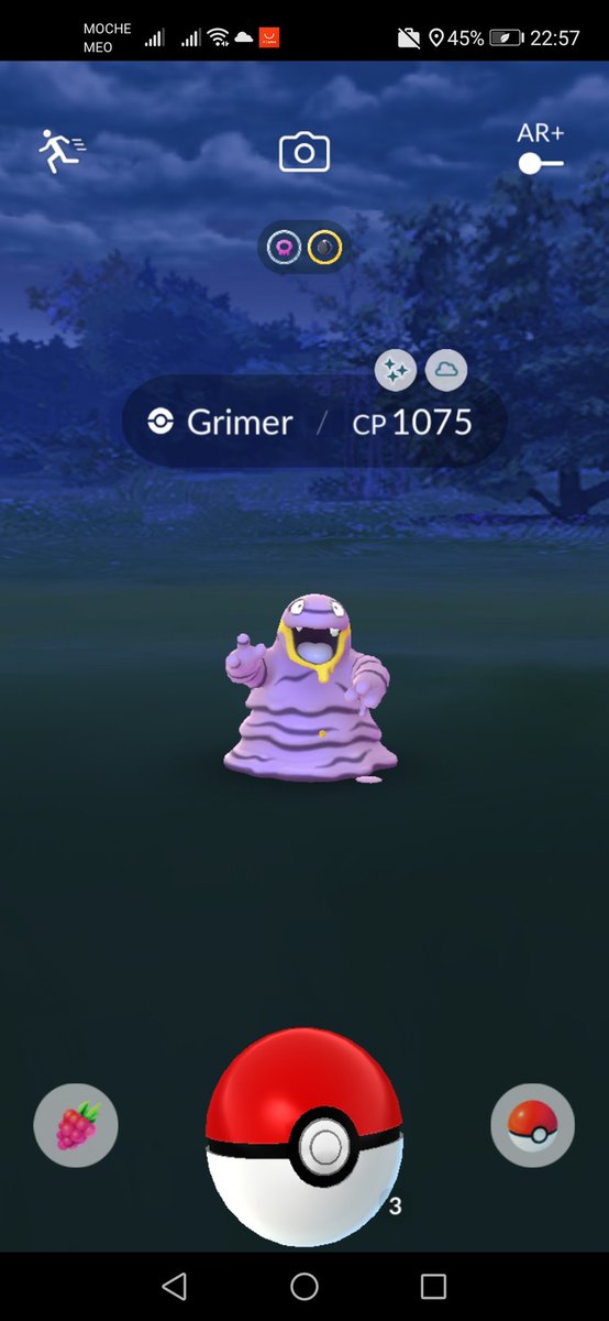 SirR4F4's tweet image. FIRST EVER SHINY ALOLAN GRIMER 😍😍😍

#PokemonGO #AlolanGrimer #Shiny
