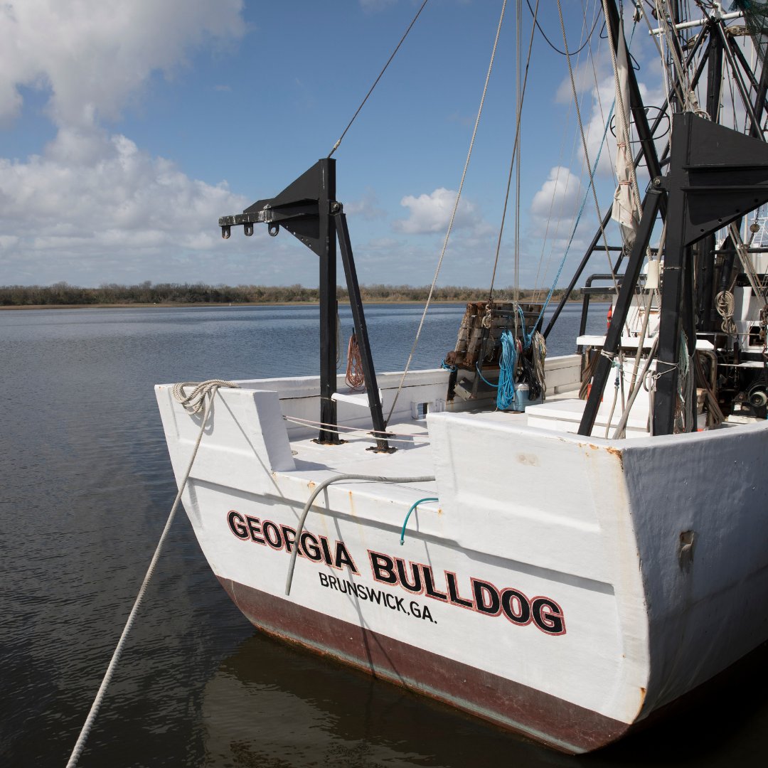 Many forget we are more than only a land grant university. We are also a sea grant institution! Happy National Maritime Day to <a href="/GACoast_UGA/">UGA Marine Extension and Georgia Sea Grant</a> for their steadfast support of Georgia's coastal communities and beyond⚓