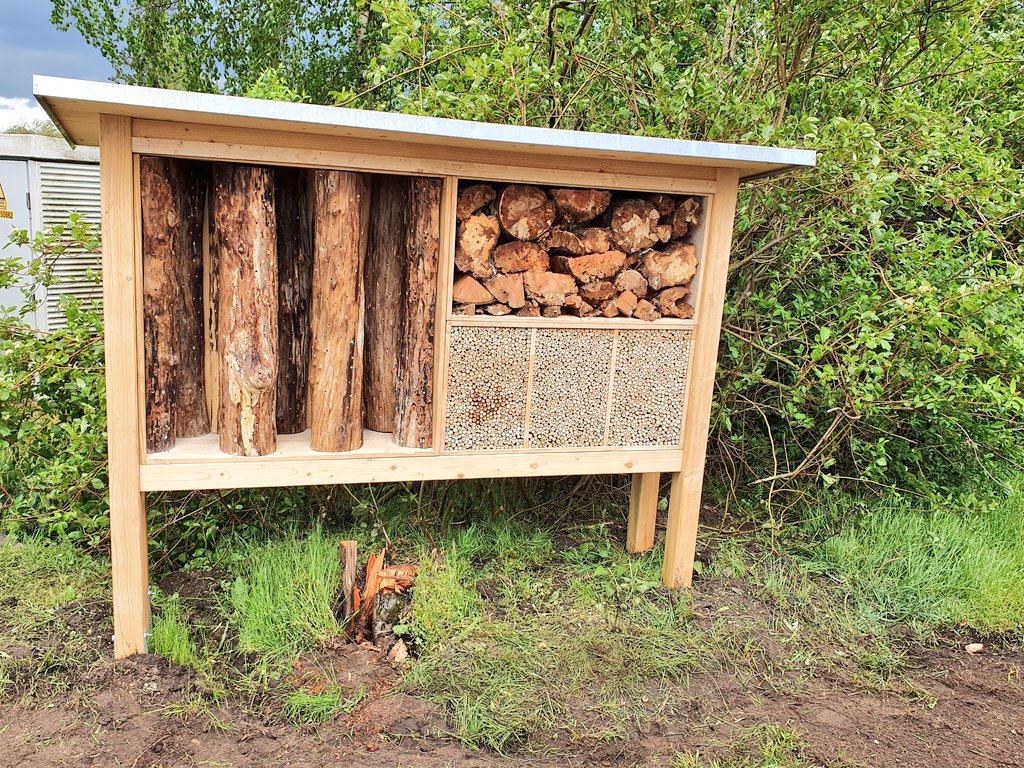 Op de dag van de biodiversiteit plaatsen we op ons erf een insectenhotel dat we als lid van het BASF Farmnetwork hebben ontvangen.
#SamenVoorBiodiversiteit #BiodiversityDay