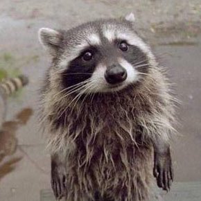 imkittyQ's tweet image. #새프로필사진