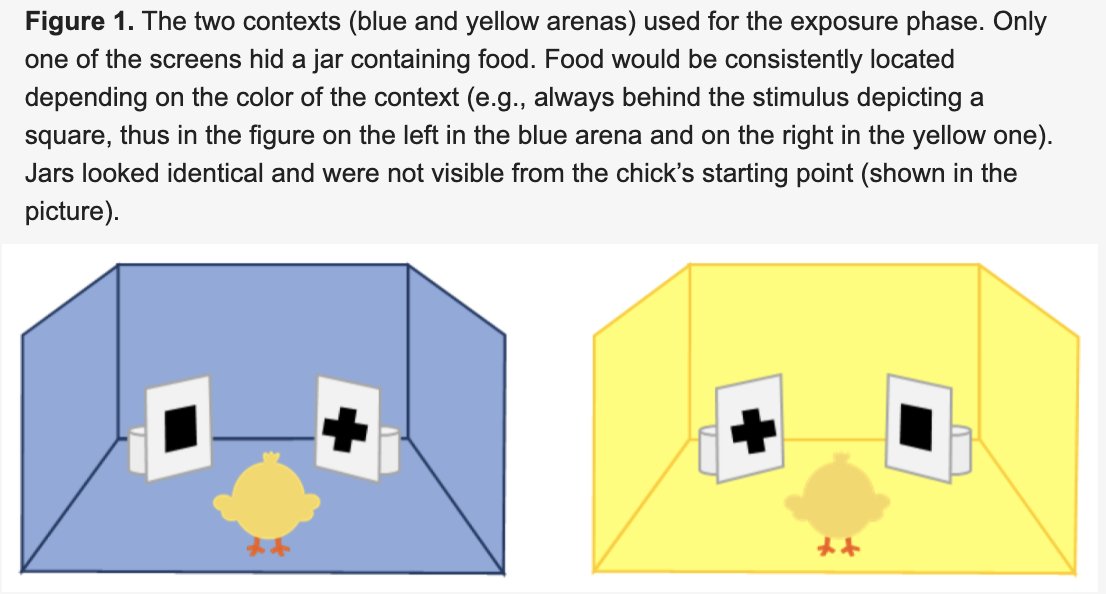 Lateralized Declarative-Like Memory for Conditional Spatial Information in Domestic Chicks (Gallus gallus)
@LuciaRegolin @Massimo_De_Agro @jndaisley 
mdpi.com/2073-8994/13/5…