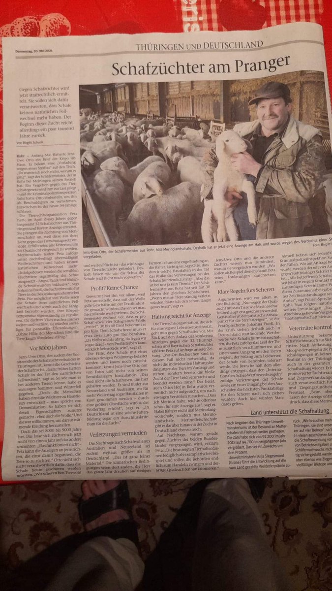 Joerg_Rehmann's tweet photo. Von PETA angezeigt: Schäfer soll Straftat begangen haben, nur weil er Schafe züchtet. https://t.co/8tD6HbHIZ3