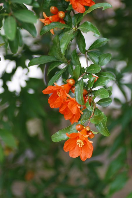 落ちるのtwitterイラスト検索結果