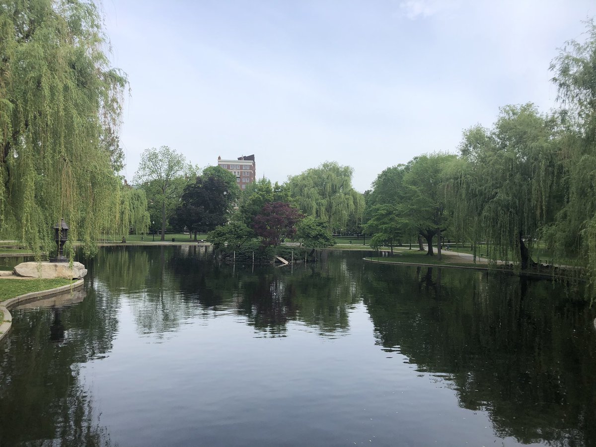 PageMorganBooks's tweet image. Morning run in Boston Common 💜 So beautiful! 
#boston #RunningwithFriends