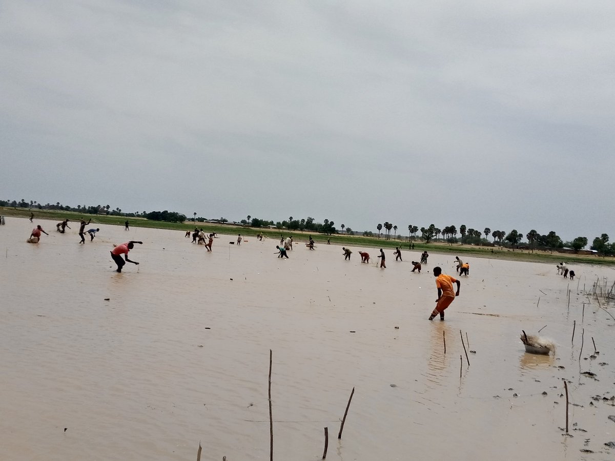 RabiouLeko's tweet image. 🖋 Aujourd&apos;hui même à la fête des pêcheurs à Albarkaizé, département de Gaya région de Dosso.
L&apos;occasion de prendre photos avec les maîtres pêcheurs.
#édition2021