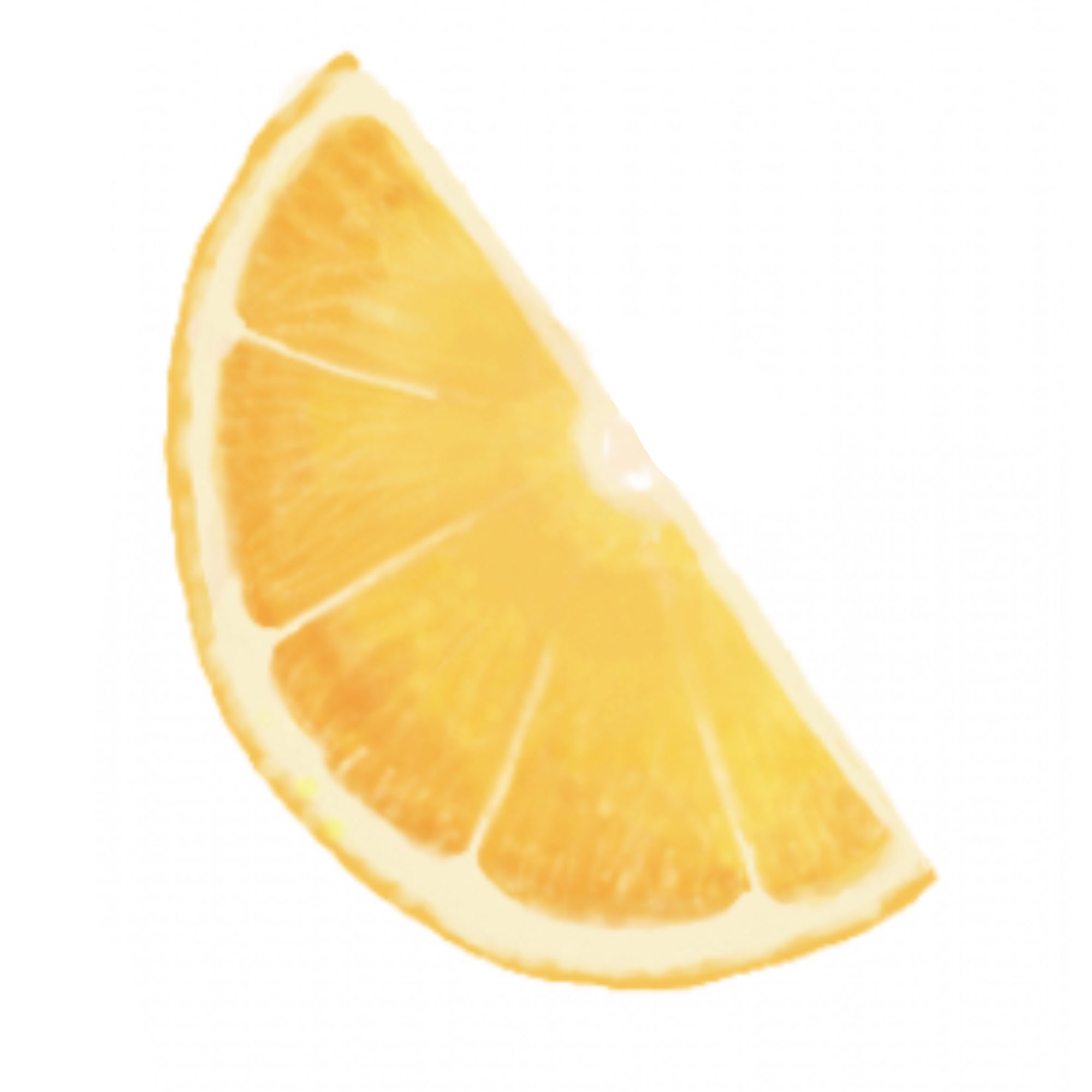 ももちー Magical Drawで描いたオレンジの断面図やっぱり 果物系は難しいですね 本当 イラスト Magicaldraw オレンジ T Co Xo3iwkcdbf Twitter