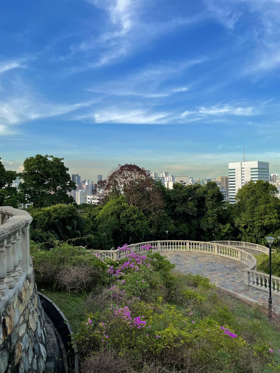 y (@ynov) on Twitter photo 