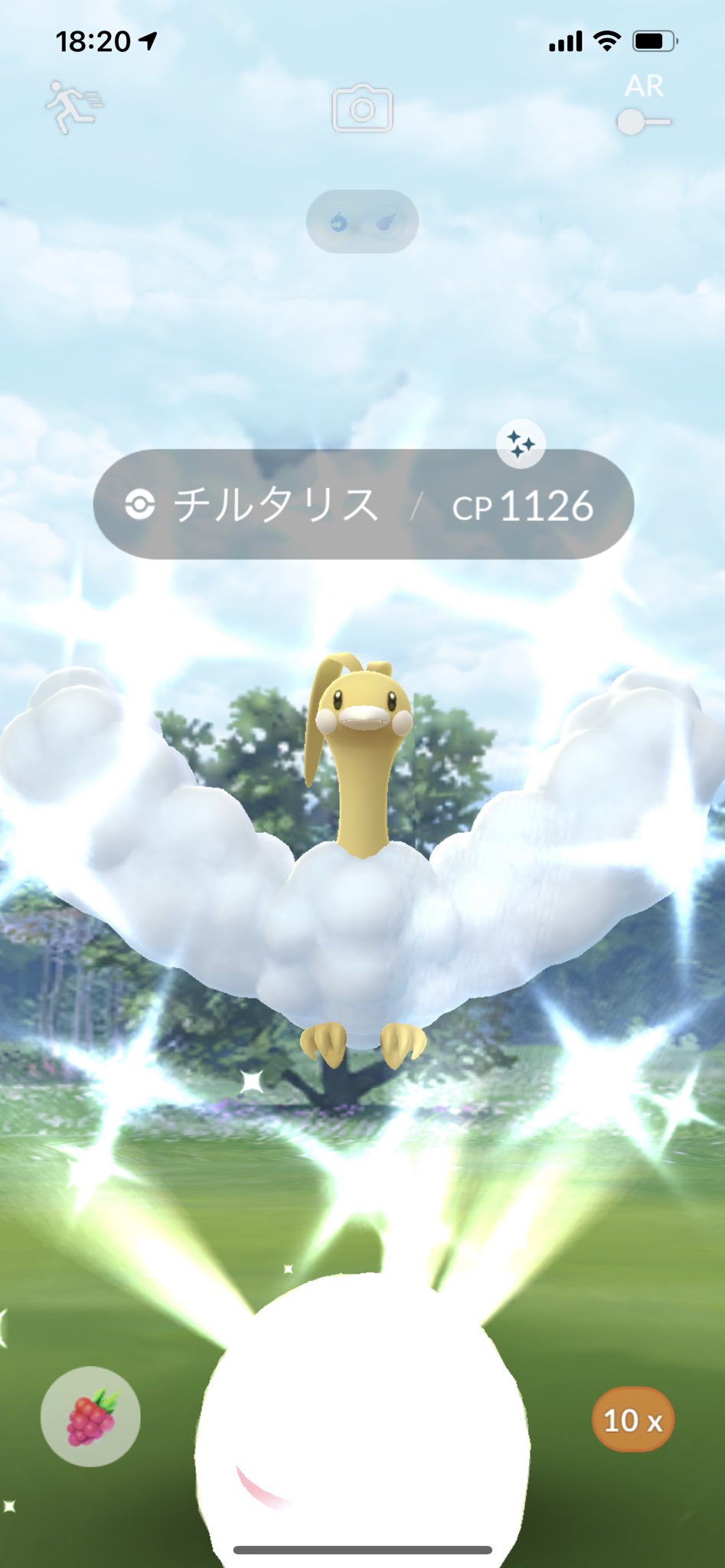 𝒋𝒆𝒔𝒉𝒆 𝑷𝒐𝒌𝒆𝒎𝒐𝒏𝑮𝑶 Lv50 コミュニティデーは色違い匹 さっきやった メガチルタリスレイドで色違いチルタリス出てくれた 手持ちの チルットも進化 あとチャンピオンメダルがやっと金になりました ポケモンgo Pokemongo T Co