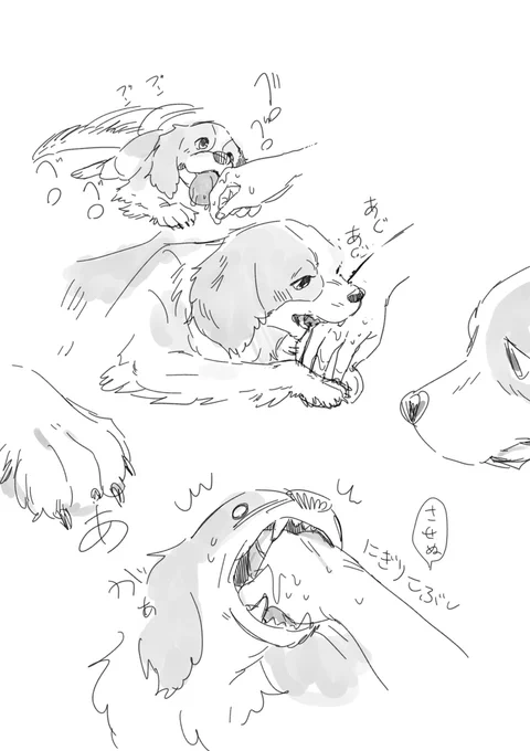 🐶べろべろあぐあぐ 