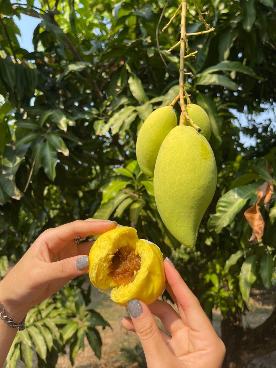 Million Fresh Fruits tweet media