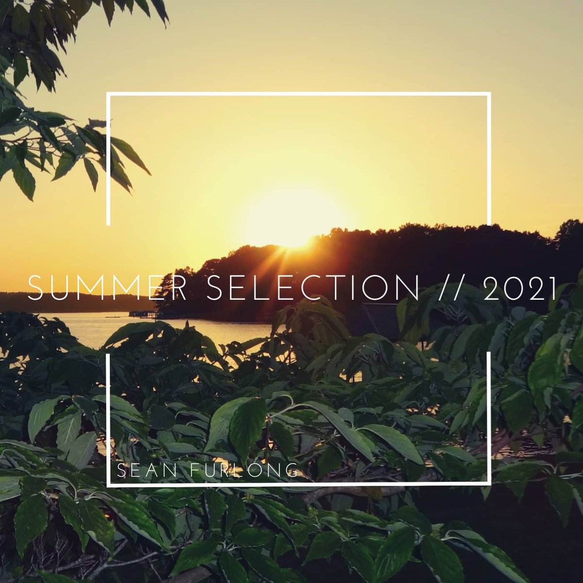 Sean Furlong tweet media