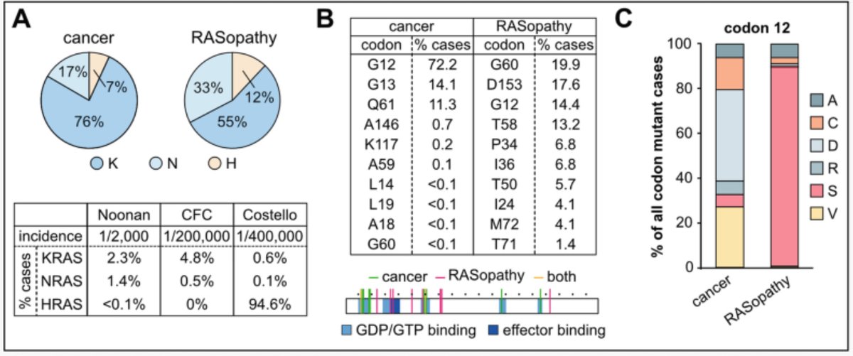 Ian Prior tweet media