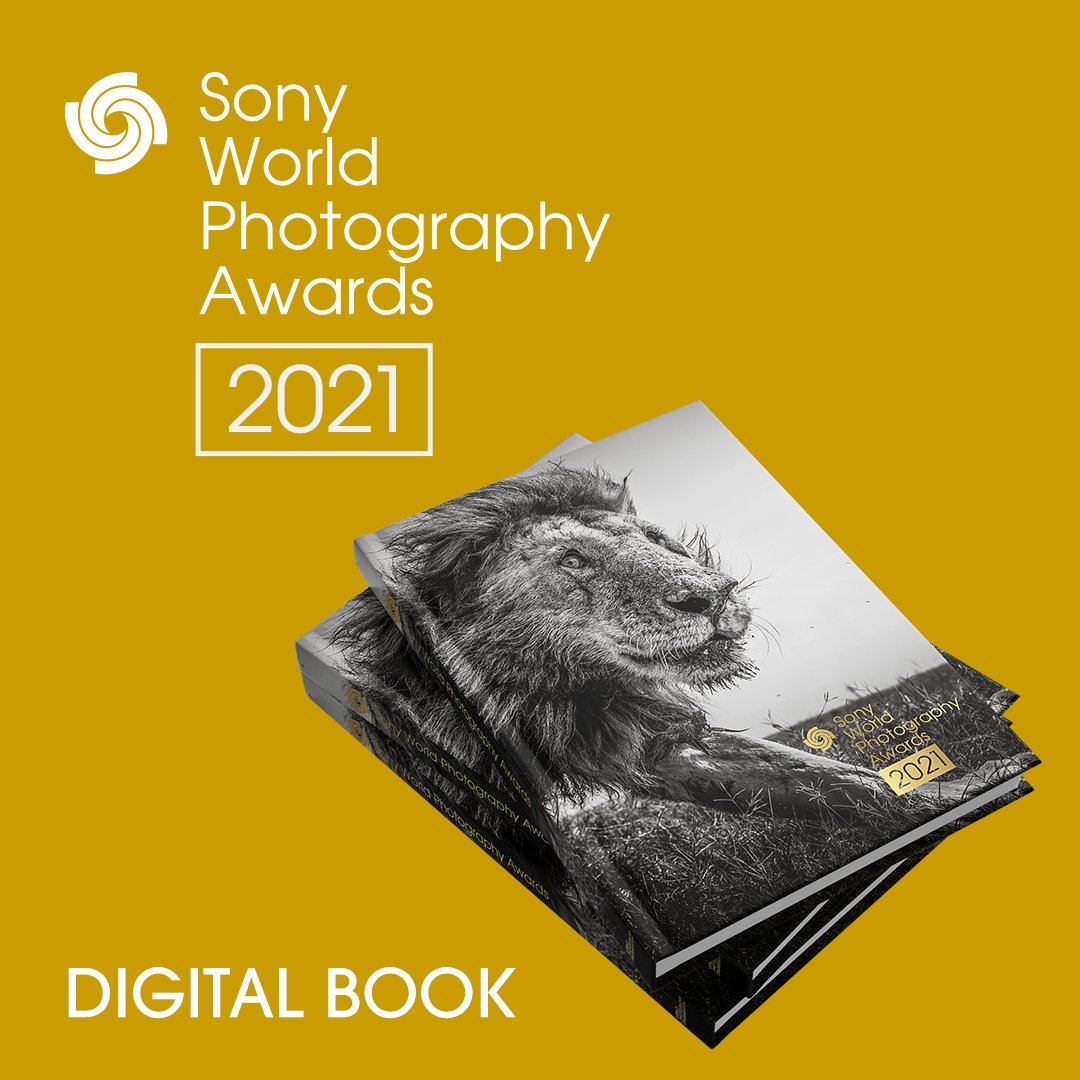 Download your free copy of the #SWPA2021 digital book. From stories of local importance to issues of global significance and creative brilliance to playfulness, there's something for everyone: bit.ly/33OQuHb