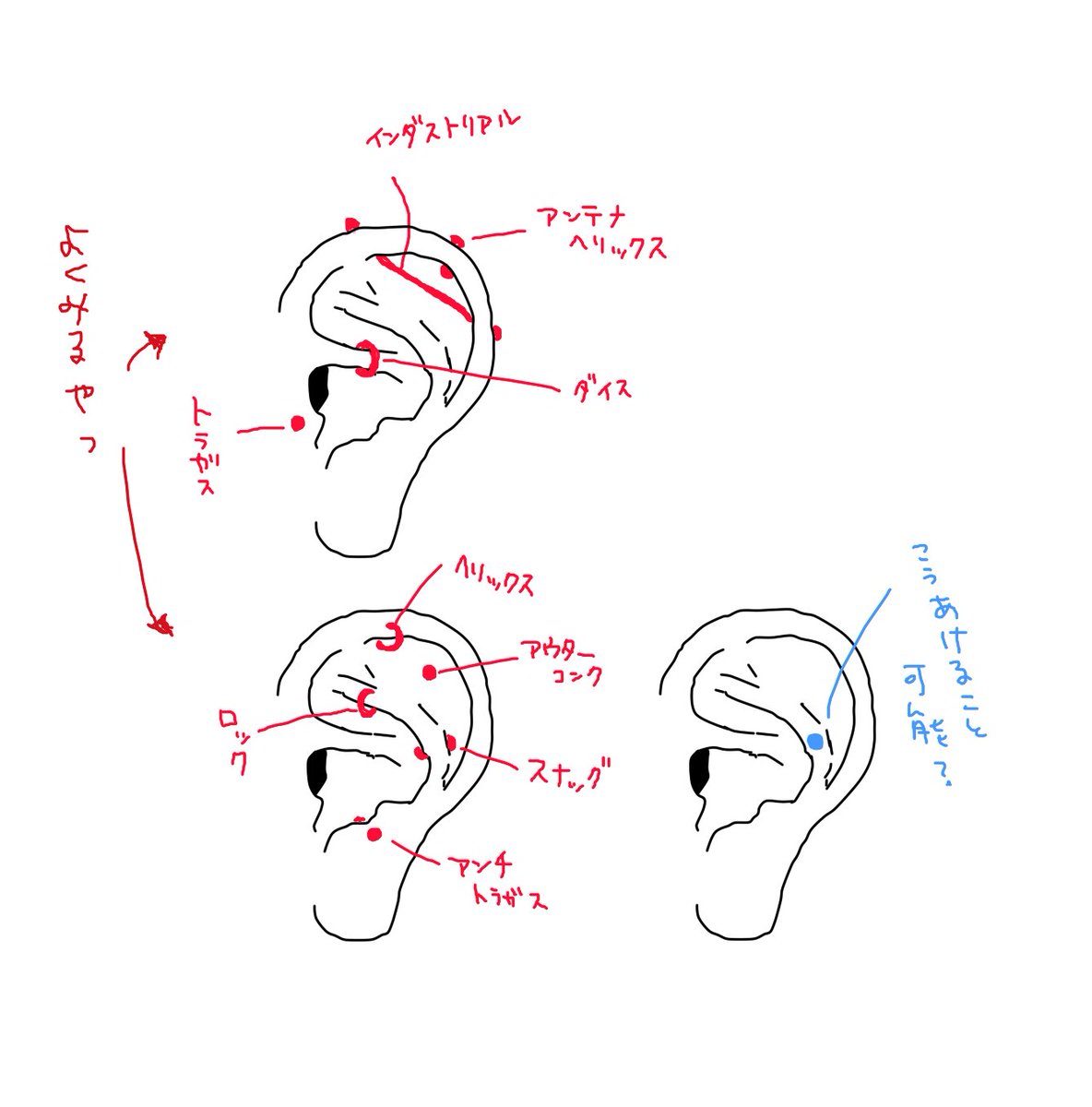 フヒヒの人 ピアスさ 位置的にはスナッグなんだけど横に貫通させる感じ のはよく見るんだけど耳 の表と裏みたいな感じであけてる人いらっしゃる 耳の構造的にそこがでっぱってるから目立っていいじゃんって発想なんだけどそこって構造的にあけられないの