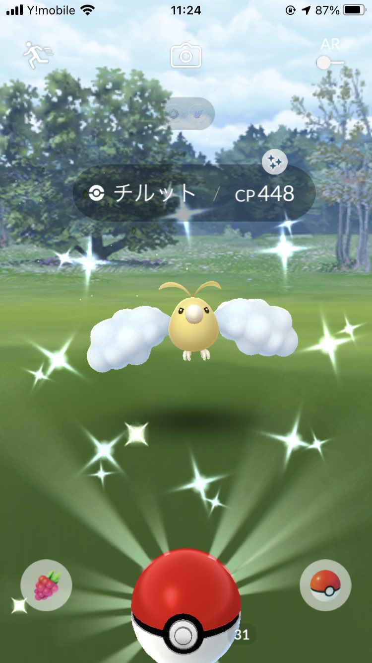 ポケモンgoチルット Twitter Search Twitter