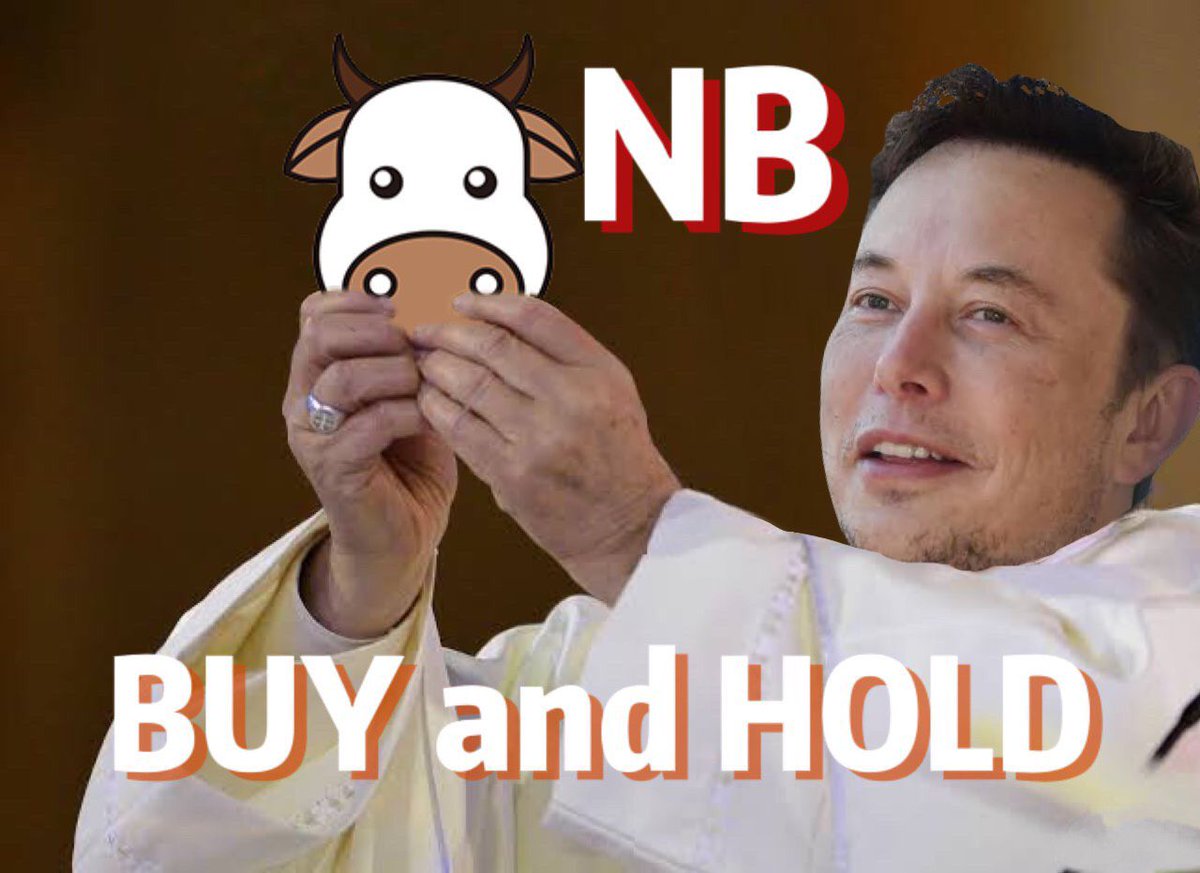 NB finance tweet media