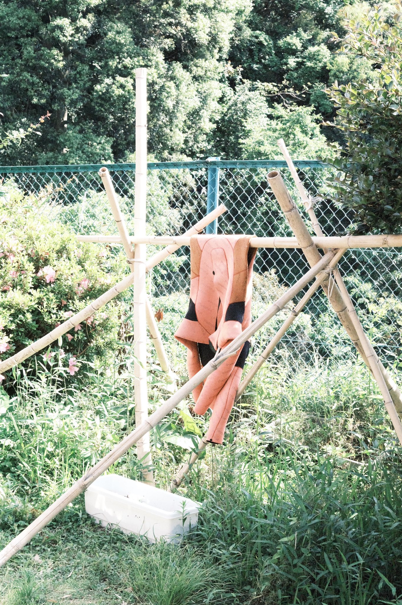濱田英明 これまで 撮って出し という言葉にあまり意味を感じなかったので使うことはなかったんですが それをようやく 個人的 実感できるカメラに出会えました 結局 色の好みではありますが 結局それがいちばん大事だったりするので Twitter