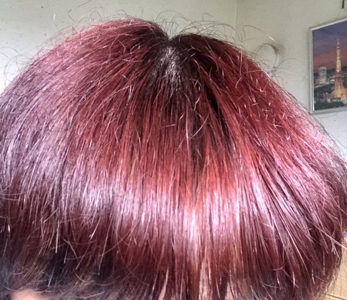 デビルズトリック キャンディピンクレビュー 期間限定ヘアカラーを楽しもうっ にこはぐ