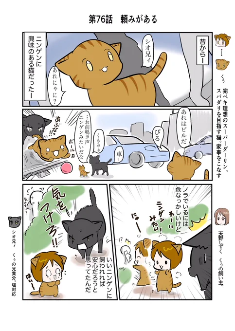 #スパダリにゃんこ #くぅの日常 第76話 頼みがあるスーパーダーリンにゃんこのくぅと飼い主しずくの日常マンガ。疲れて倒れたくぅを、しずくの家から連れ出したシオ兄貴。くぅに無用な苦労をさせまいと…。#創作マンガ #マンガが読めるハッシュタグ 