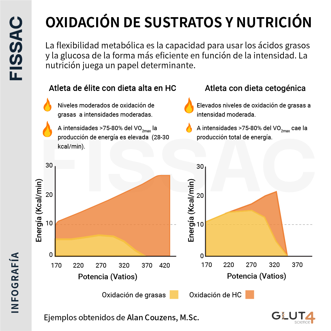 Fissac Twitterren: "🔥Oxidación de sustratos y nutrición. ✏En este nuevo  artículo, Aitor (@Glut4Science) nos habla de la flexibilidad metabólica y  su importancia sobre el rendimiento. 🙌Para nosotros es un honor contar con