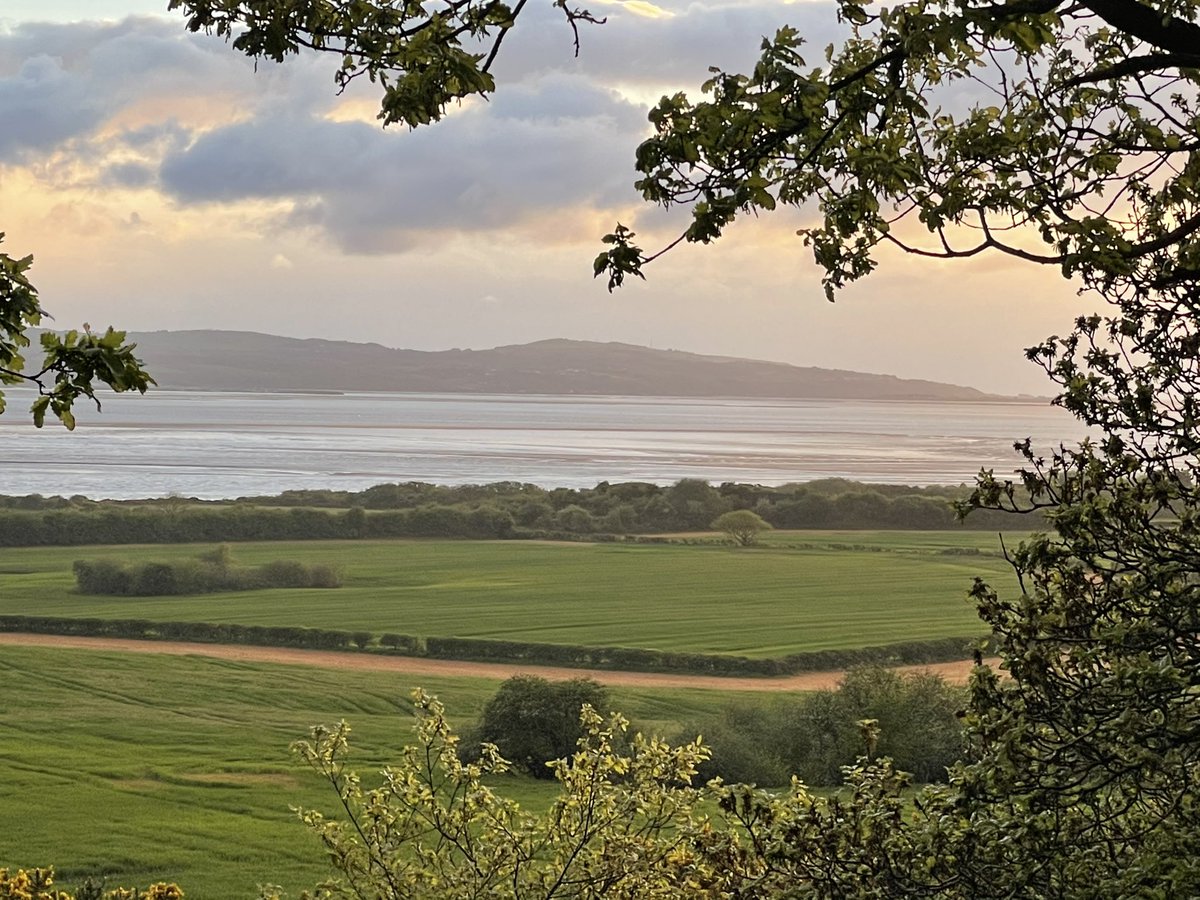 AndyEverett's tweet photo. @MyFaveBench watching the sunset over Wales from Wirral through a woodland window.
#lovewhereyoulive #favouritebench #sunset #dungeonwood #wirral https://t.co/G54Ch5TTxg