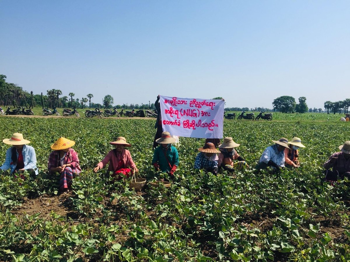 IrrawaddyNews's tweet photo. Tabayin farmers challenge military rule

Local farmers in Tabayin Township, #Sagaing Region protested against the military regime while working on their farms on Saturday. (Photo: CJ) #WhatsHappeningInMyanmar https://t.co/5qaCJM59s1