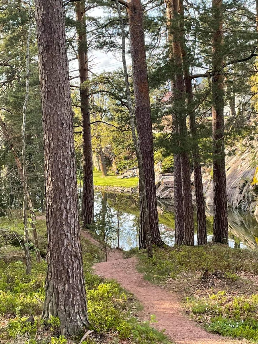 Listening to Nurture and walking in these landscape Is def the best feeling.