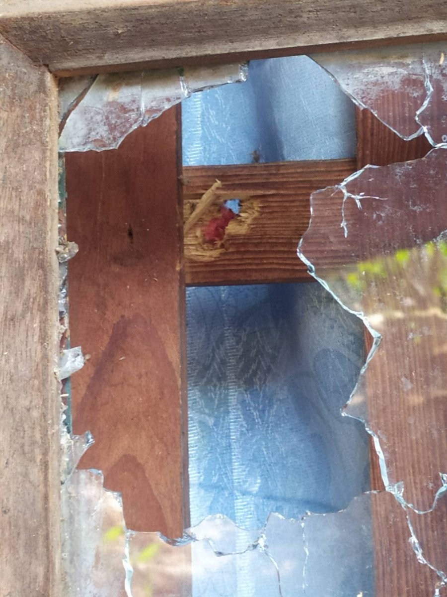 spring21MM's tweet photo. Update:
Military terrorists have been bombing with helicopters in #Mindat, Chin Stateince since 6am on May 15.
-Buildings in the #Taungpuhla monastery and other places were damaged due to the Military's airstrikes.
#May15Coup
#WhatsHappeningInMyanmar
#NoFlyZoneInMyanmar https://t.co/SuETI7Ble1