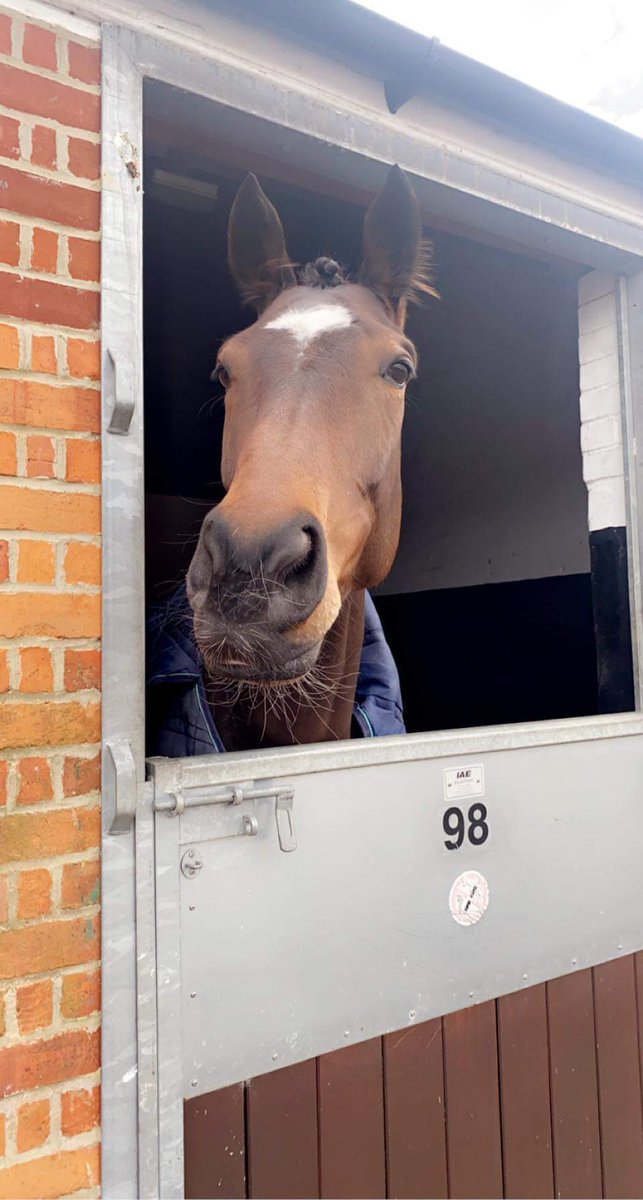 ELavelleracing photo