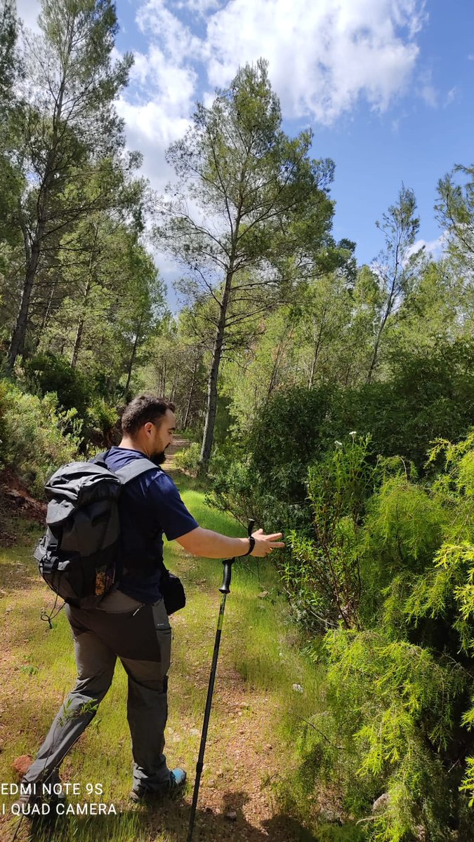 ChapuMiguel89's tweet photo. #senderismo #montaña #NaturePhotography #gr247 https://t.co/BwRBuXIiYa