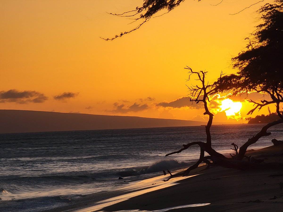 Jordantmusic's tweet photo. Todays sunset, #nofilter. #sunsetTonight #maui #summervibes https://t.co/kGEkKqMinT