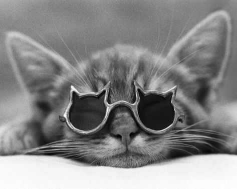 NIZNIKOVA1's tweet photo. @niznikova1 #lovesunglasses https://t.co/yumNJGRt41