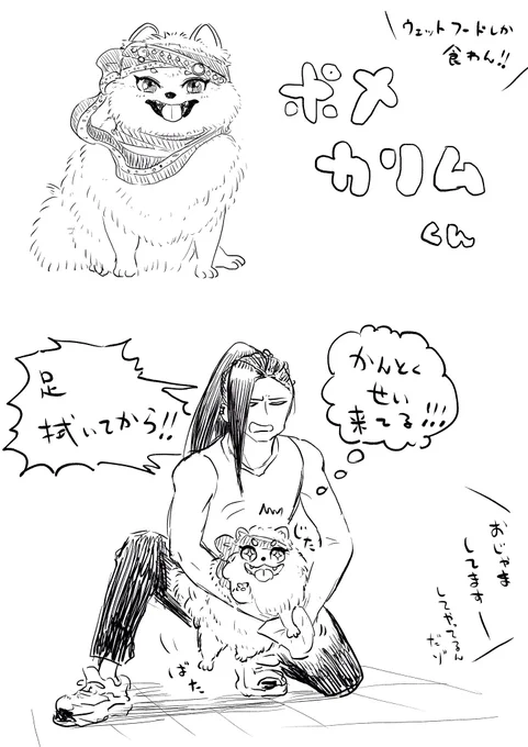 今さっき、ポメラニアン化カリムくんにハマっているスカラビア推しの友達の家で描いてたポメカリムくん 