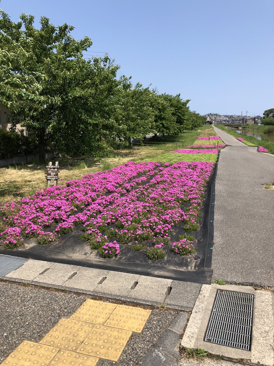 新潟市西区役所 Nsk Niigata Twitter