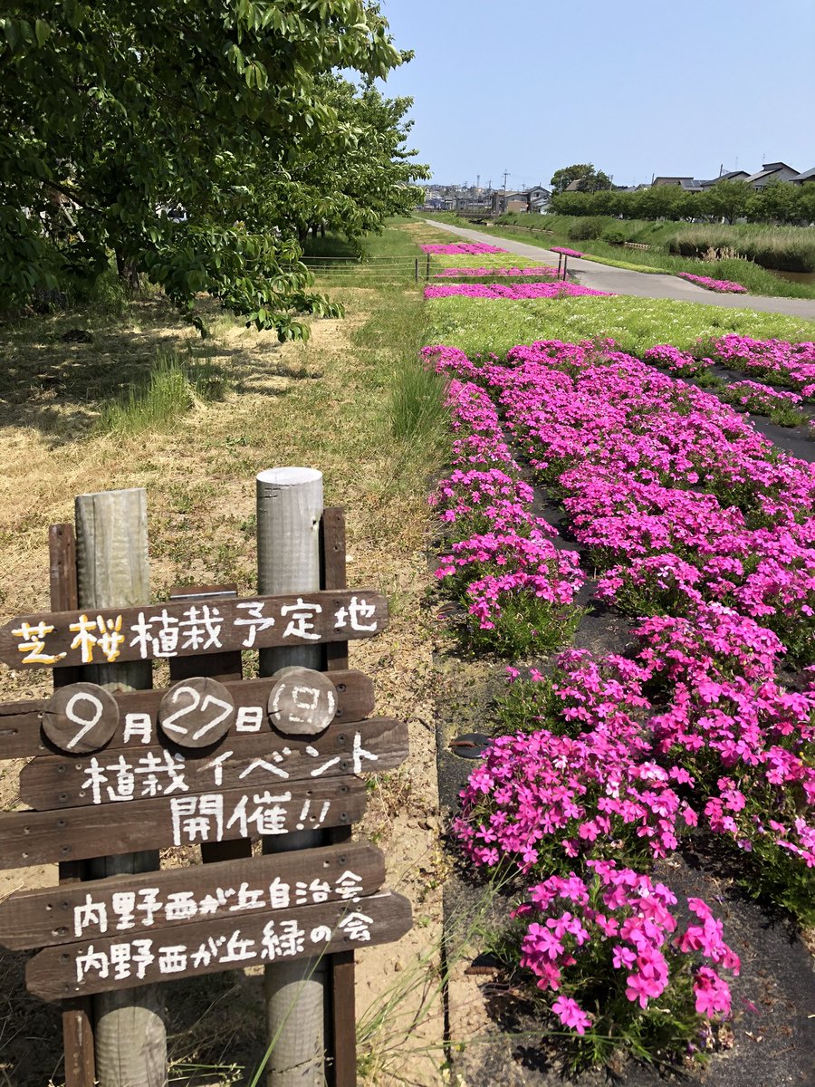 新潟市西区役所 Nsk Niigata Twitter