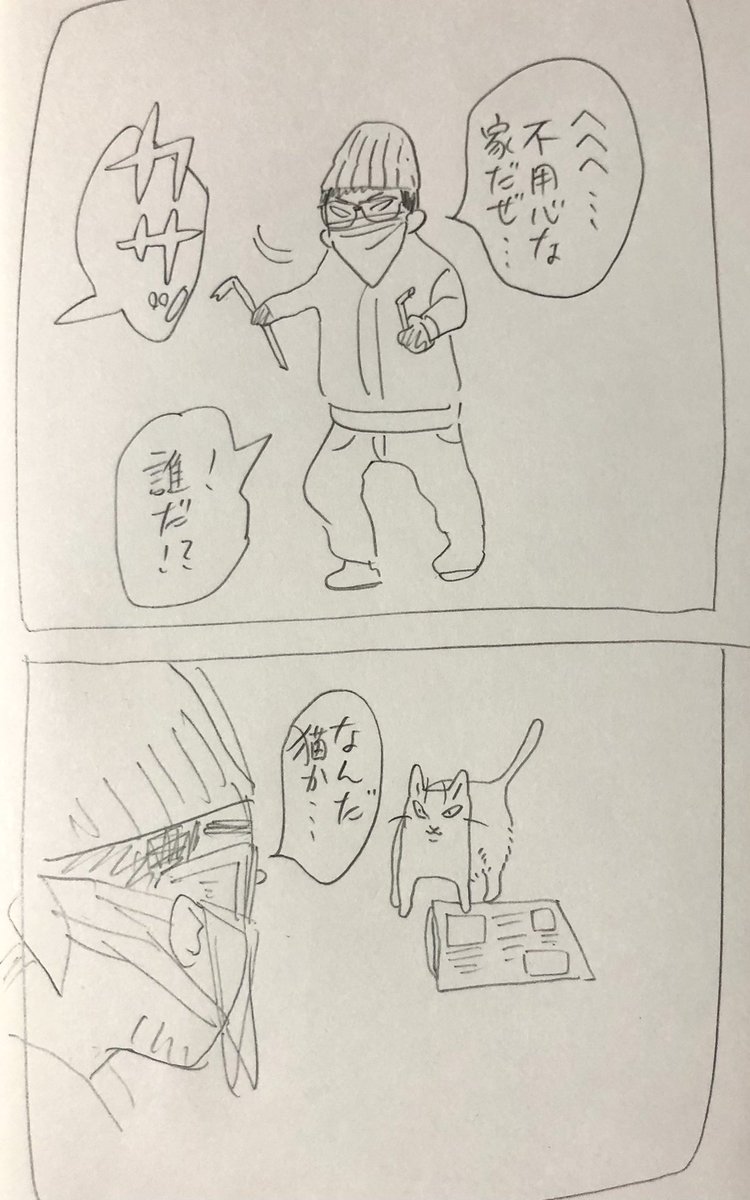 当たり前のことを言うだけで空き巣を追い払う猫 