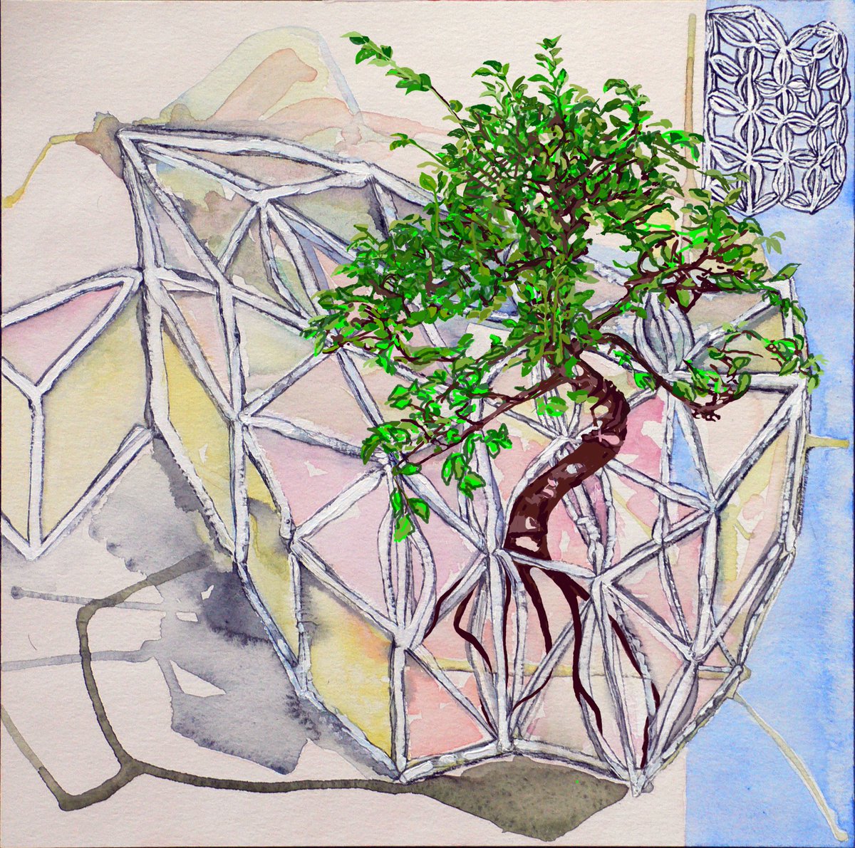 Our new exhibition Urban Bonsai: Real and imagined starts today, as part of <a href="/UrbanTreeFest/">UrbanTreeFestival</a>. New faulous art by Stella Tripp and words by Brazilian poet <a href="/EdArantus/">Ed Arantus</a> at  collectconnect.blogspot.com/2021/05/urban-… new works everyday 15-23 May. Join us for Dean's bonsai worksop this morning too.