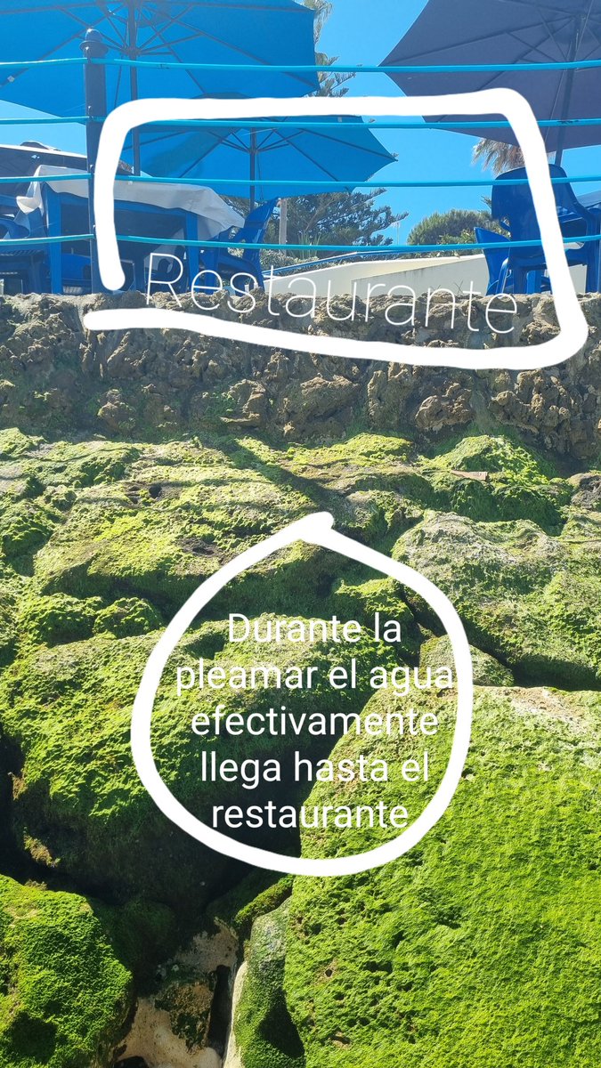 malacarasev's tweet photo. ESTOY HASIENDO UN TRABAJO DE INVESTIGASION HISTORICA EN CHIPIONA https://t.co/SAbRqHw3h3