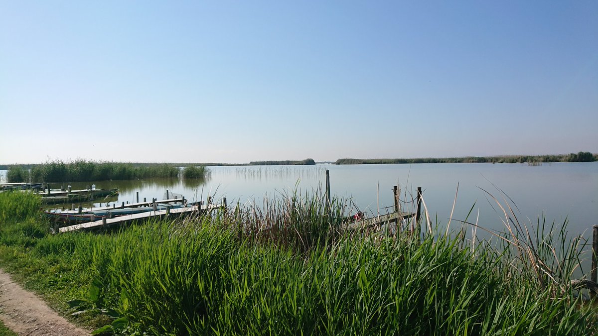 ¿Estás aburrido de correr o entrenar por los mismos circuitos?

Echa un vistazo a las 12 rutas de diferentes distancias y superficies que te ofrecemos desde nuestras instalaciones.

Y cada mes anunciamos 4 nuevas.

¿Corres...?

👇👇👇👇👇

sites.google.com/view/cdsaladar…